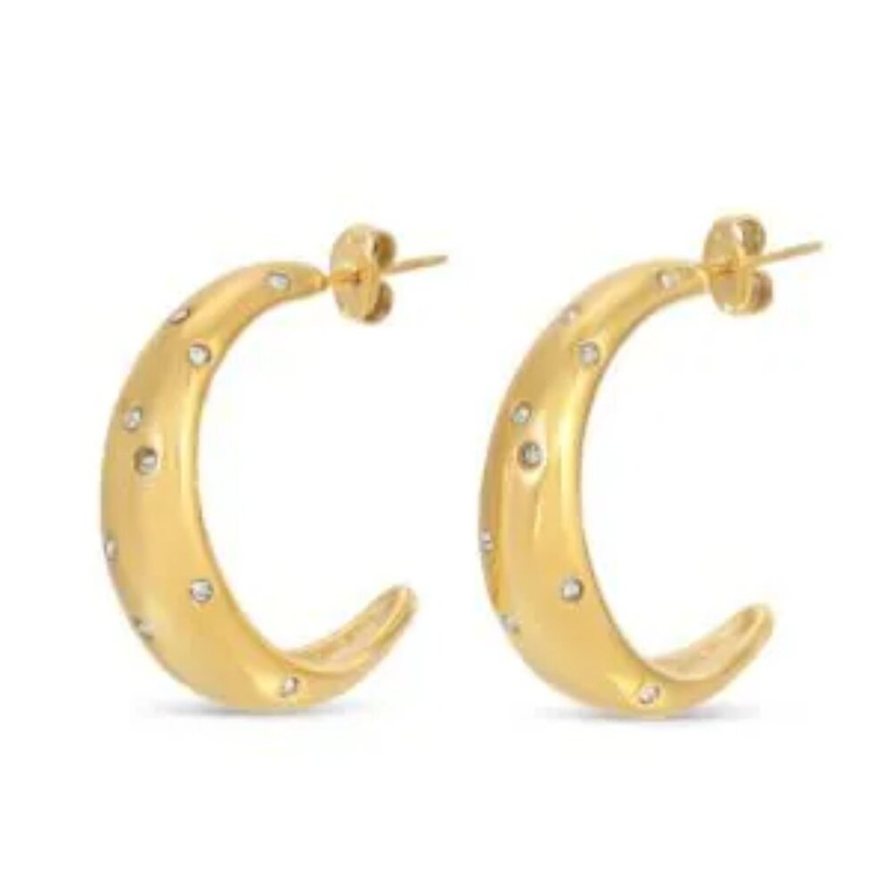 NWT NIB Eye Candy Goldplated Hoops LA Earrings Gold Cubic Zirconia CZ crystal